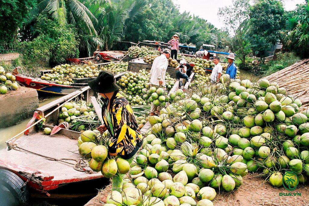 image-82